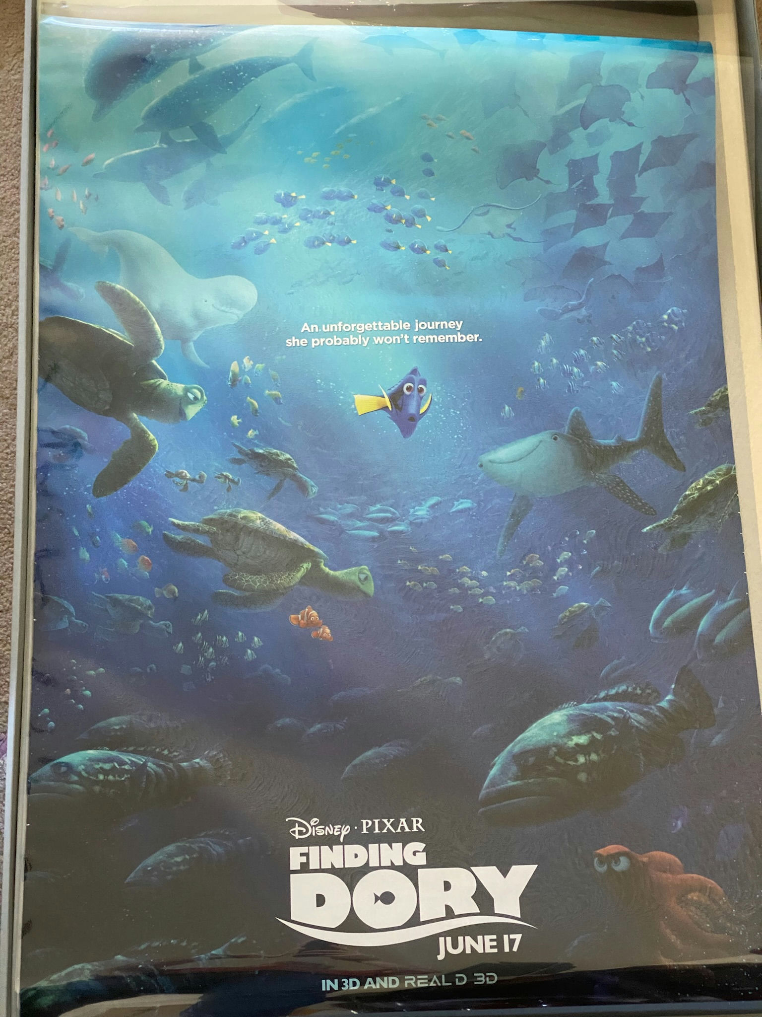 Finding Dory
